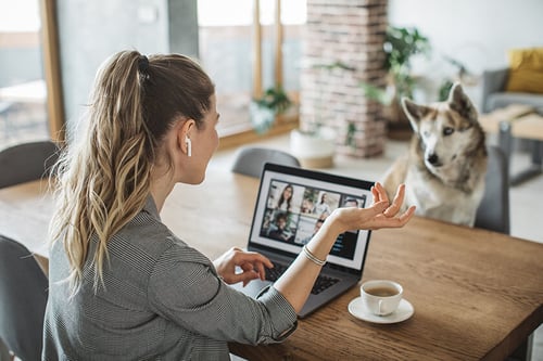 woman is doing remote work with video conferencing from home, cute dog is watching her