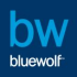 Bluewolf